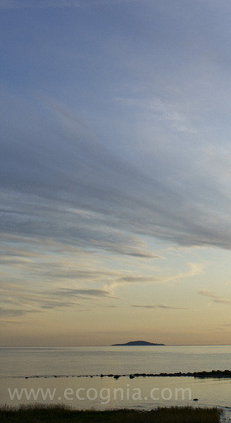 o0308land_a_cf001151